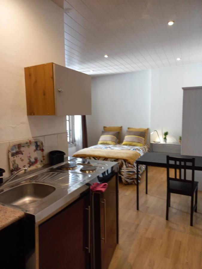 Le Carnot, Deux Studios, Proche Du Centre * Besançon